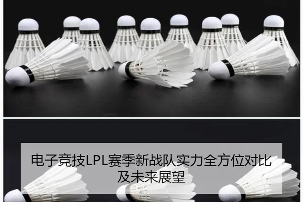 电子竞技LPL赛季新战队实力全方位对比及未来展望